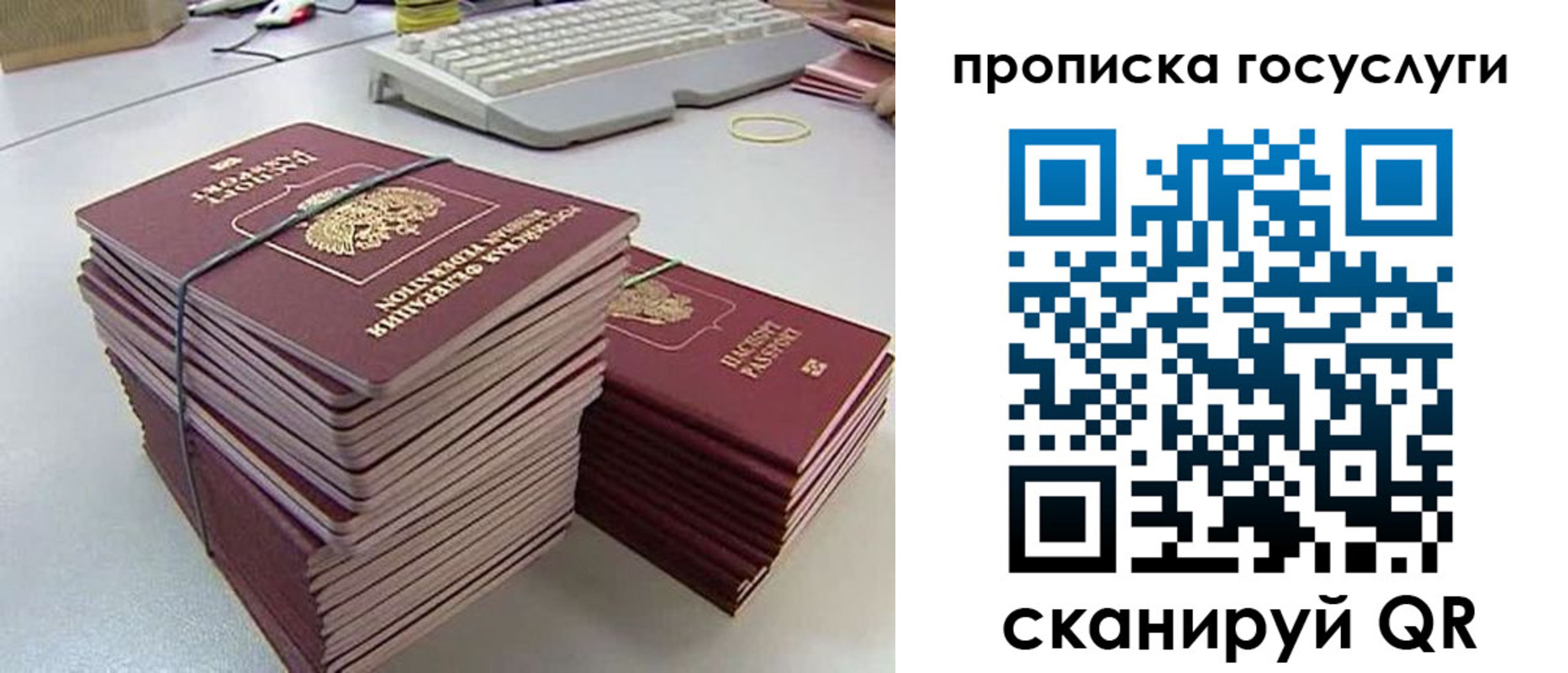 временная регистрация для школы в Волхове